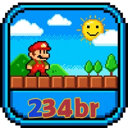 234br